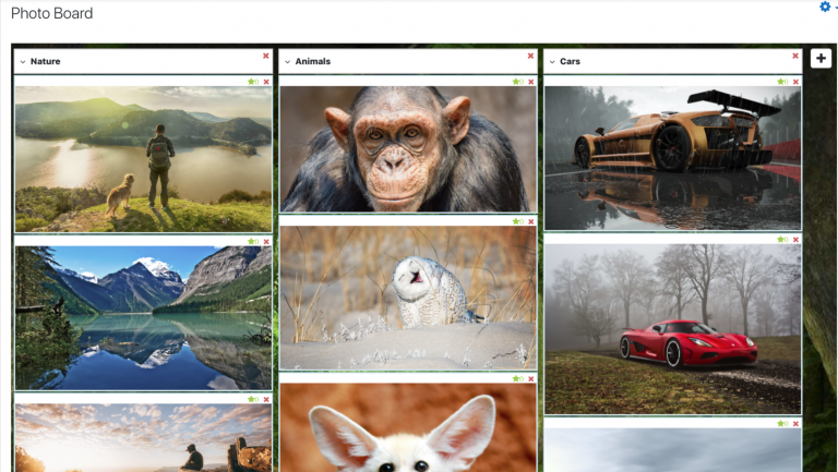 Example of Moodle Board containing 3 columns fir Nature, Animals and Cars
