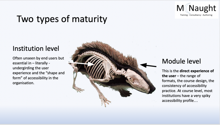 Zoom presentation slideshow titled ‘Two types of maturity’. Image of a hedgehog is centred showing an arrow pointing to the animals skeleton with text reading “Institution level - Often unseen by end-users but essential in - literally - undergirding the user experience and the “shape and form” of accessibility in the organisation.” The arrow pointing to the skin of the animal is labelled ‘Module Level’ and reads “This is the direct experience of the user - the range of formats, the course design, the consistency of accessibility practice. At a course level, most institutions have a very spiky accessibility profile.” 